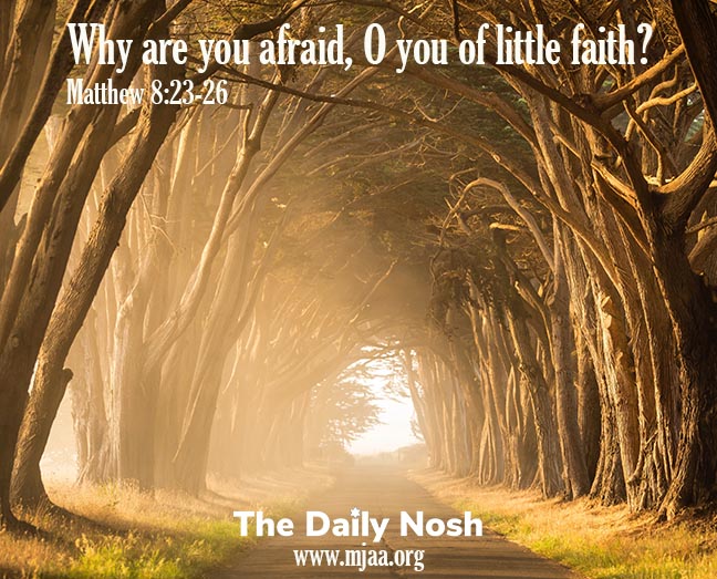 The Daily Nosh - Matthew 8:23-26