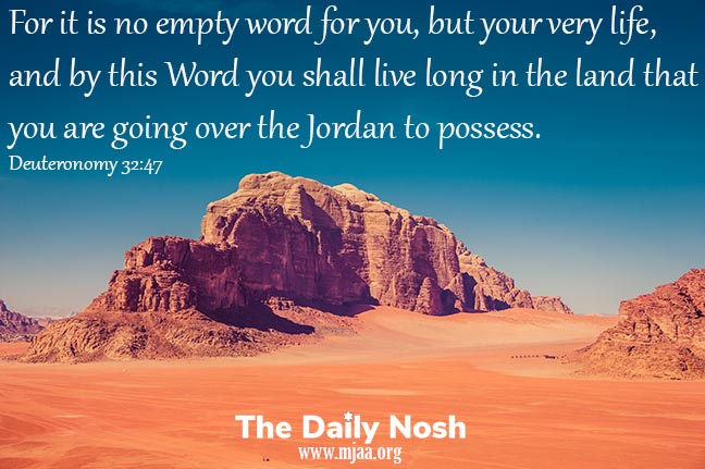 The Daily Nosh - Deuteronomy 32:47