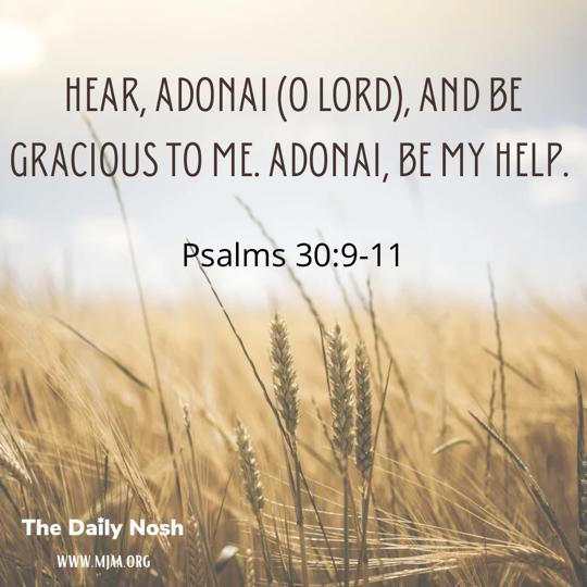 The Daily Nosh - Psalms 30:9-11