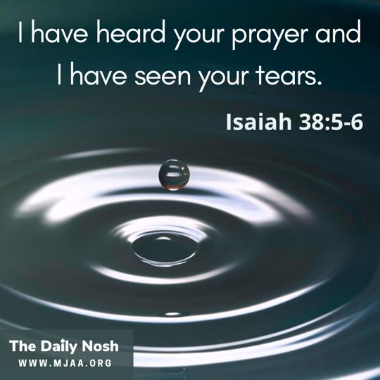 The Daily Nosh - Isaiah 38:5-6