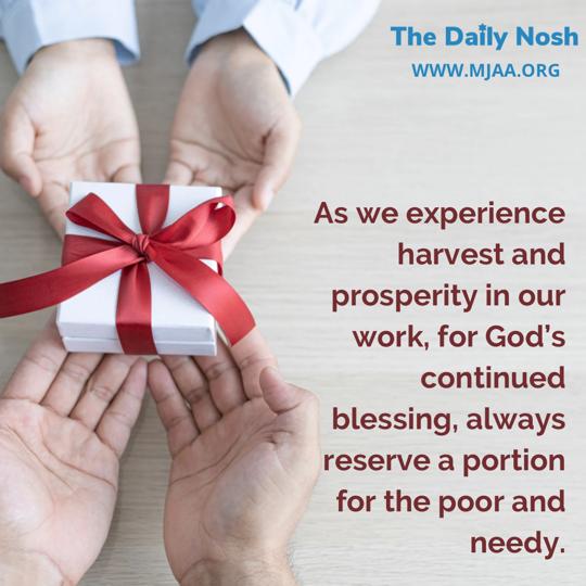 The Daily Nosh - Deuteronomy 24:19