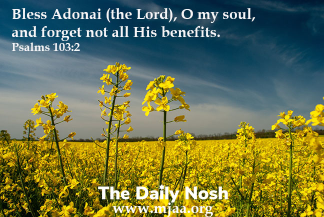 The Daily Nosh - Psalms 103:2