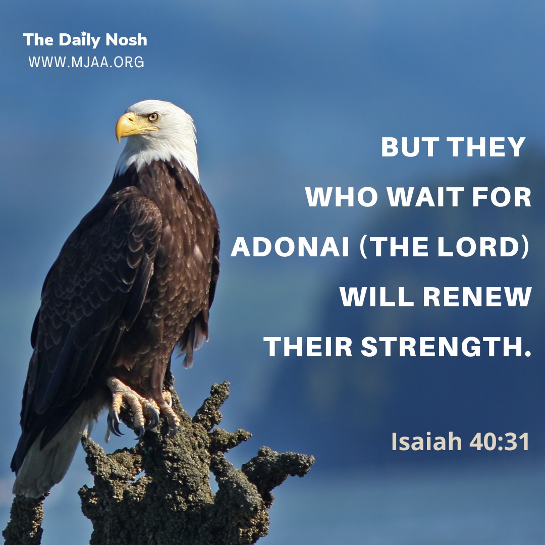 The Daily Nosh - Isaiah 40:31