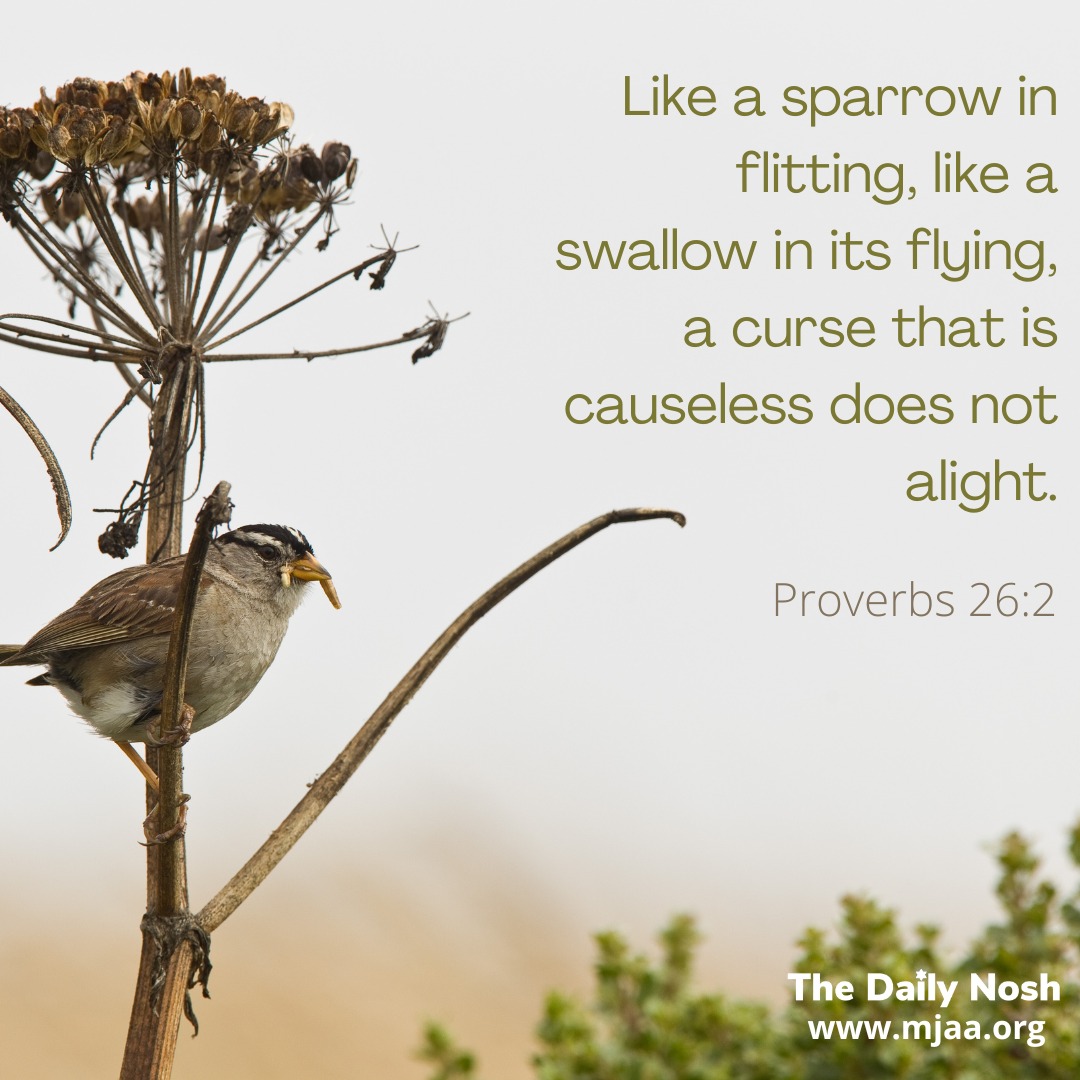 The Daily Nosh - Proverbs 26:2