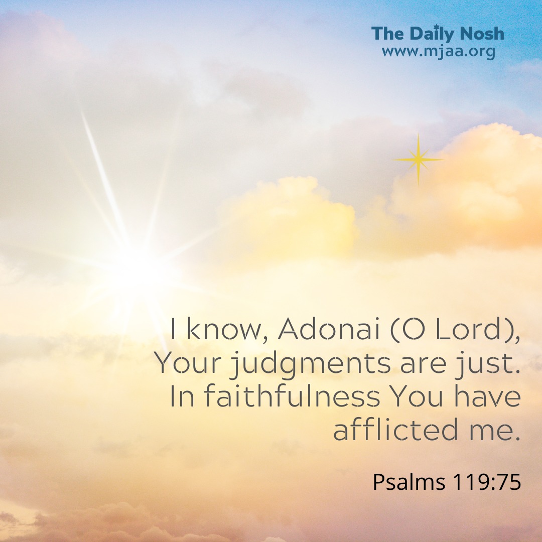 The Daily Nosh - Psalms 119:75