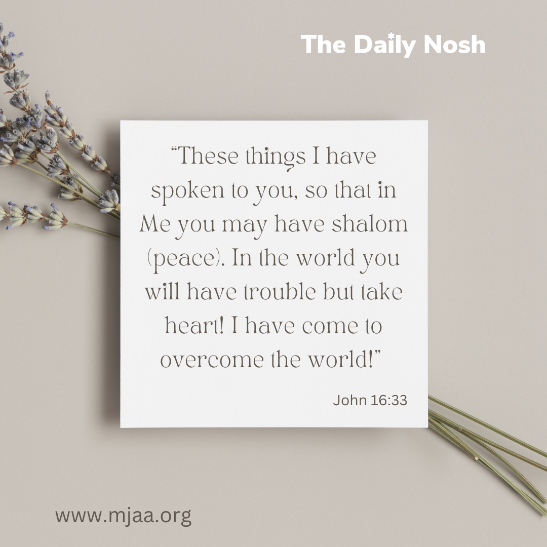The Daily Nosh - John 16:33