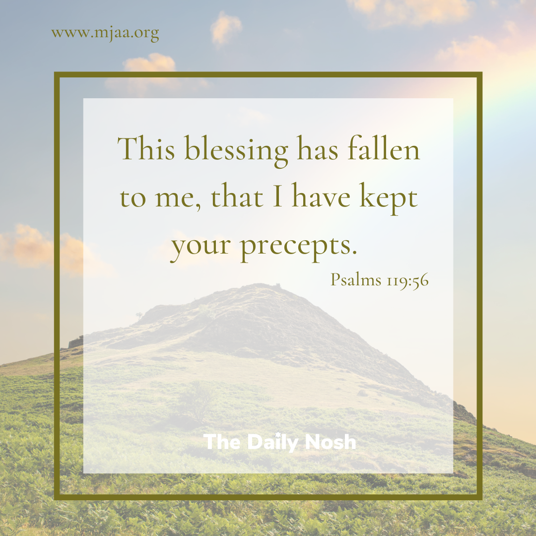 The Daily Nosh - Psalms 119:56