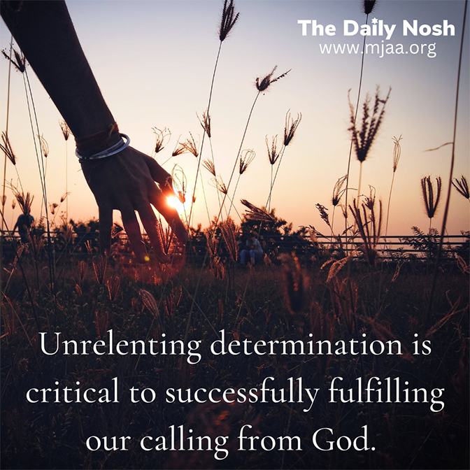 The Daily Nosh - Ruth 1:15-18