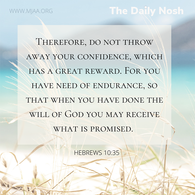 The Daily Nosh - Hebrews 10:35