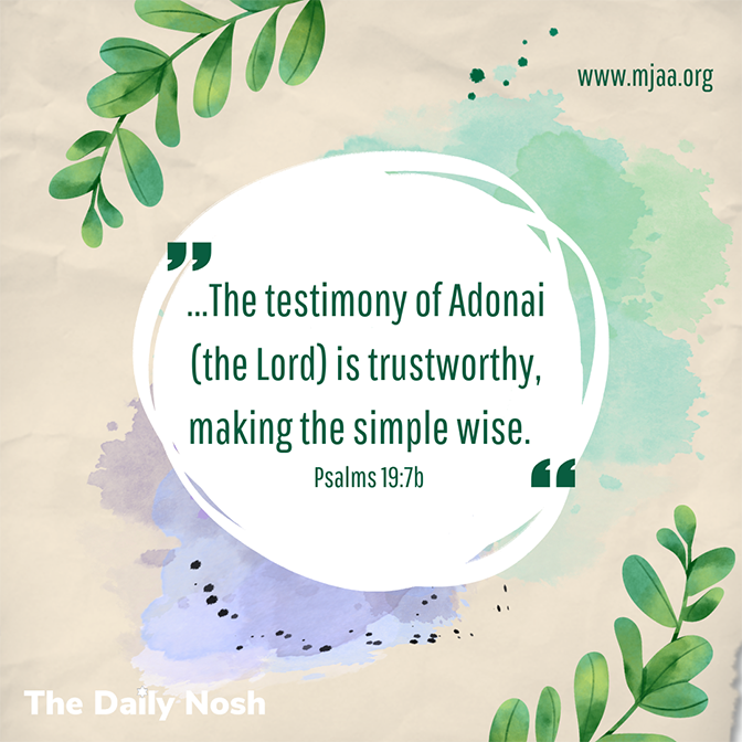 The Daily Nosh - Psalms 19:7b