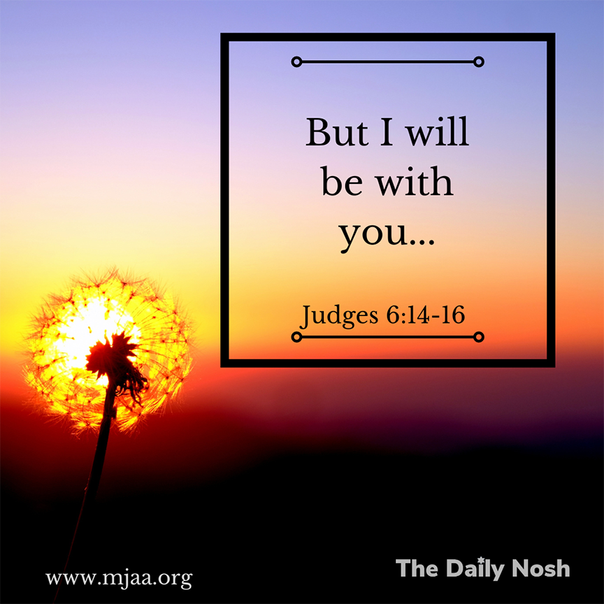 The Daily Nosh - Judges 6:14-16