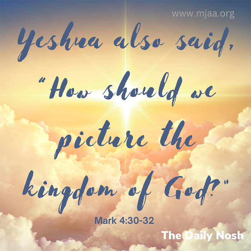 The Daily Nosh - Mark 4:30-32