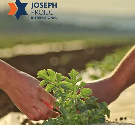 In a Year of War, You Chose to Help: A Joseph Project International Impact Update In a Year of War, You Chose to Help: A Joseph Project International Impact Update